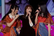乃木坂46、秋元真夏の卒業コンサートに1万2000人来場。「生まれ変わっても絶対に乃木坂になりたい」 - 画像一覧（14/17）