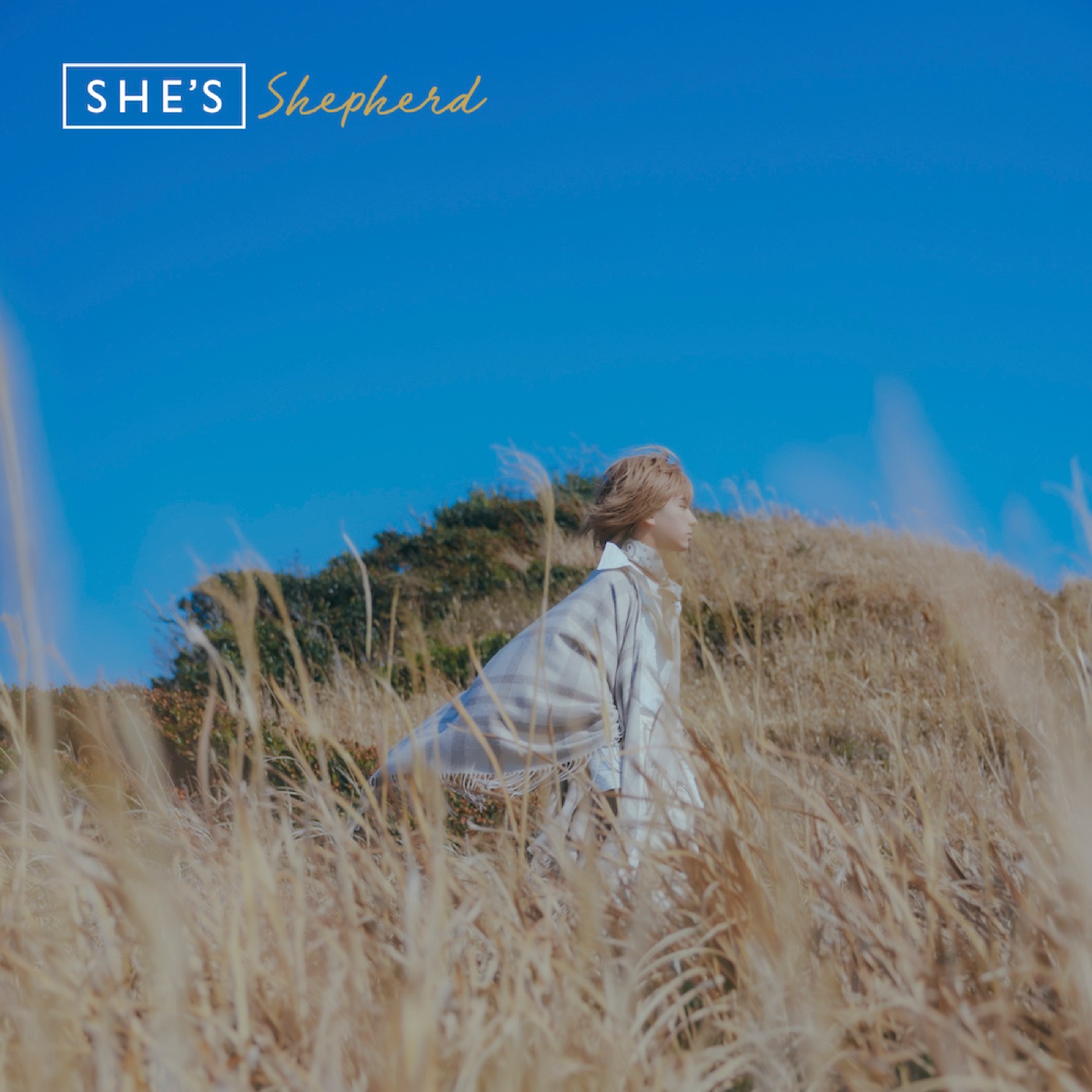 SHE’S、アルバム『Shepherd』ジャケット写真と新ビジュアル解禁。全国ツアーも決定 - 画像一覧（6/6）