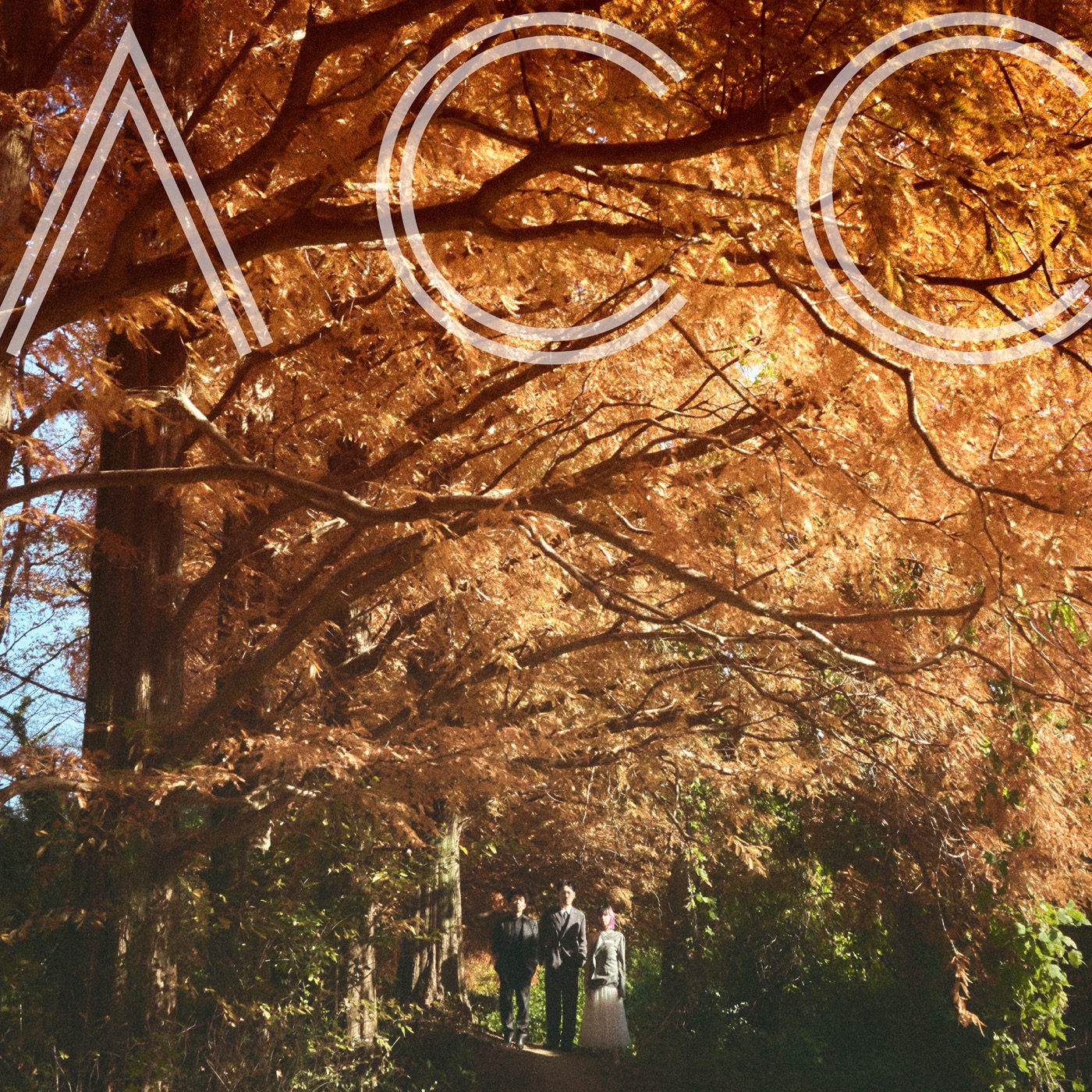 ドラマ『となりのナースエイド』主題歌、Awesome City Club「ヒカリ」が配信リリース決定 - 画像一覧（1/3）