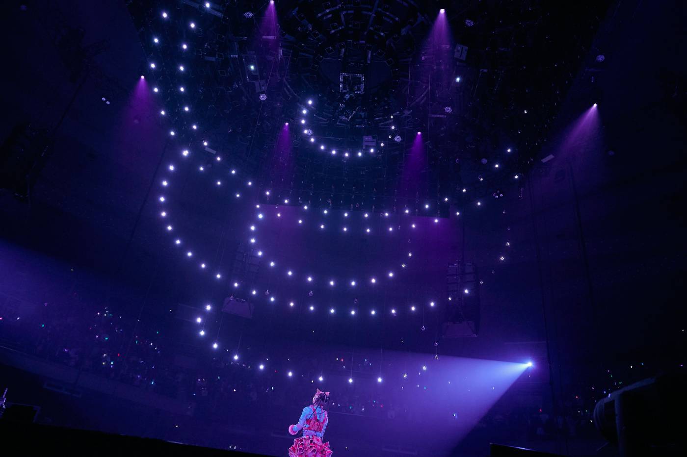 【ライブレポート】水曜日のカンパネラ・詩羽体制になって初の日本武道館ワンマン！「いつかみんなここに立つんだ」 - 画像一覧（5/14）