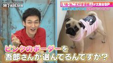 稲垣吾郎が元宝塚トップスターの愛犬に洋服をプレゼント！その行動に草なぎ剛、香取慎吾が驚愕 - 画像一覧（1/5）