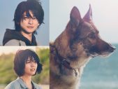 高橋文哉＆西野七瀬W主演映画『少年と犬』主題歌が、SEKAI NO OWARI「琥珀」に決定 - 画像一覧（2/4）