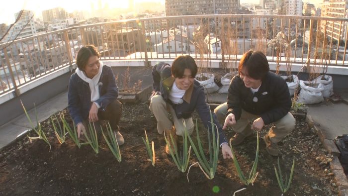 Travis Japan松田元太が大奮闘！『ザ！鉄腕！DASH!!』奇跡の国産バナナ作りで「超興奮する！」