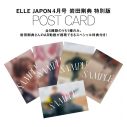 岩田剛典『ELLE Japon』特別版表紙に登場！目黒蓮には特別インタビューを実施 - 画像一覧（2/5）