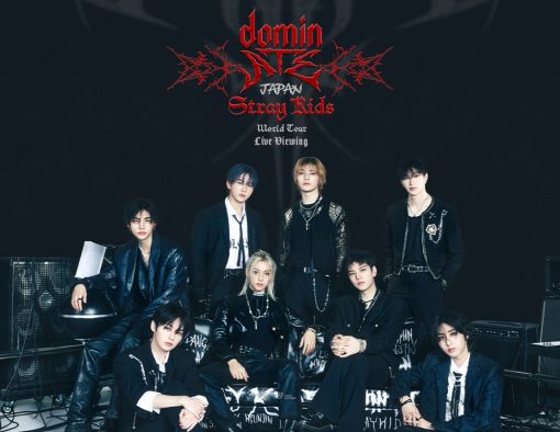 Stray Kids、ワールドツアー追加公演のライブビューイングが決定！コメント動画到着