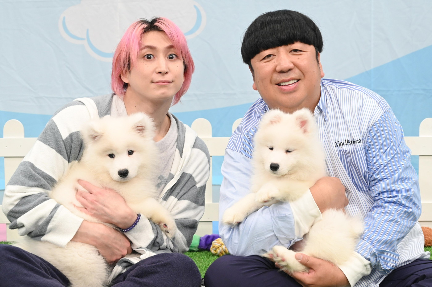 Snow Man佐久間大介×バナナマン日村勇紀『サクサクヒムヒム』で“天使の犬”サモエドを深掘り
