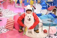 Snow Man佐久間大介×バナナマン日村勇紀『サクサクヒムヒム』で“天使の犬”サモエドを深掘り - 画像一覧（3/3）