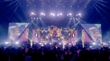 椎名林檎ライブ映像作品『(生)林檎博’24』発売決定！ダイジェストムービー＆Live Clip解禁 - 画像一覧（8/14）