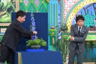 Aぇ! group小島健＆末澤誠也『プレバト！！』で“コンビ生け花”に挑戦 - 画像一覧（9/12）