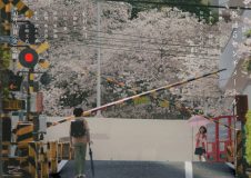 松村北斗（SixTONES）主演映画『秒速5センチメートル』本編映像解禁！ティザービジュアル第2弾も公開