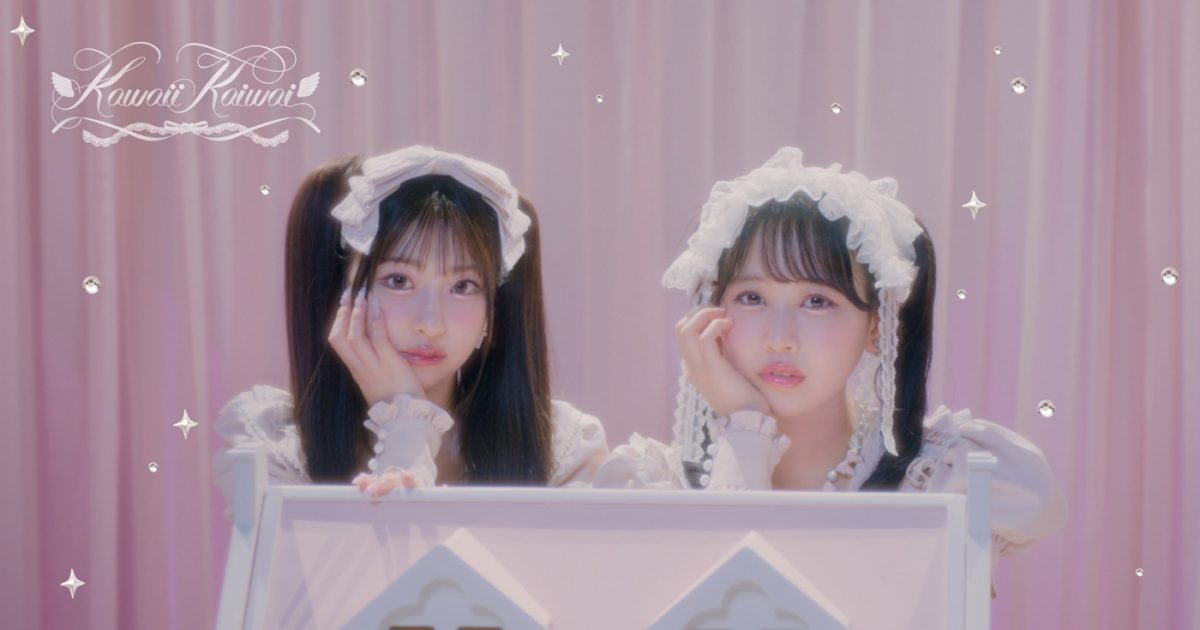 きいさん 在庫セール】ポッシュフェイス(POSH FAITH) バイク用品 パイロット