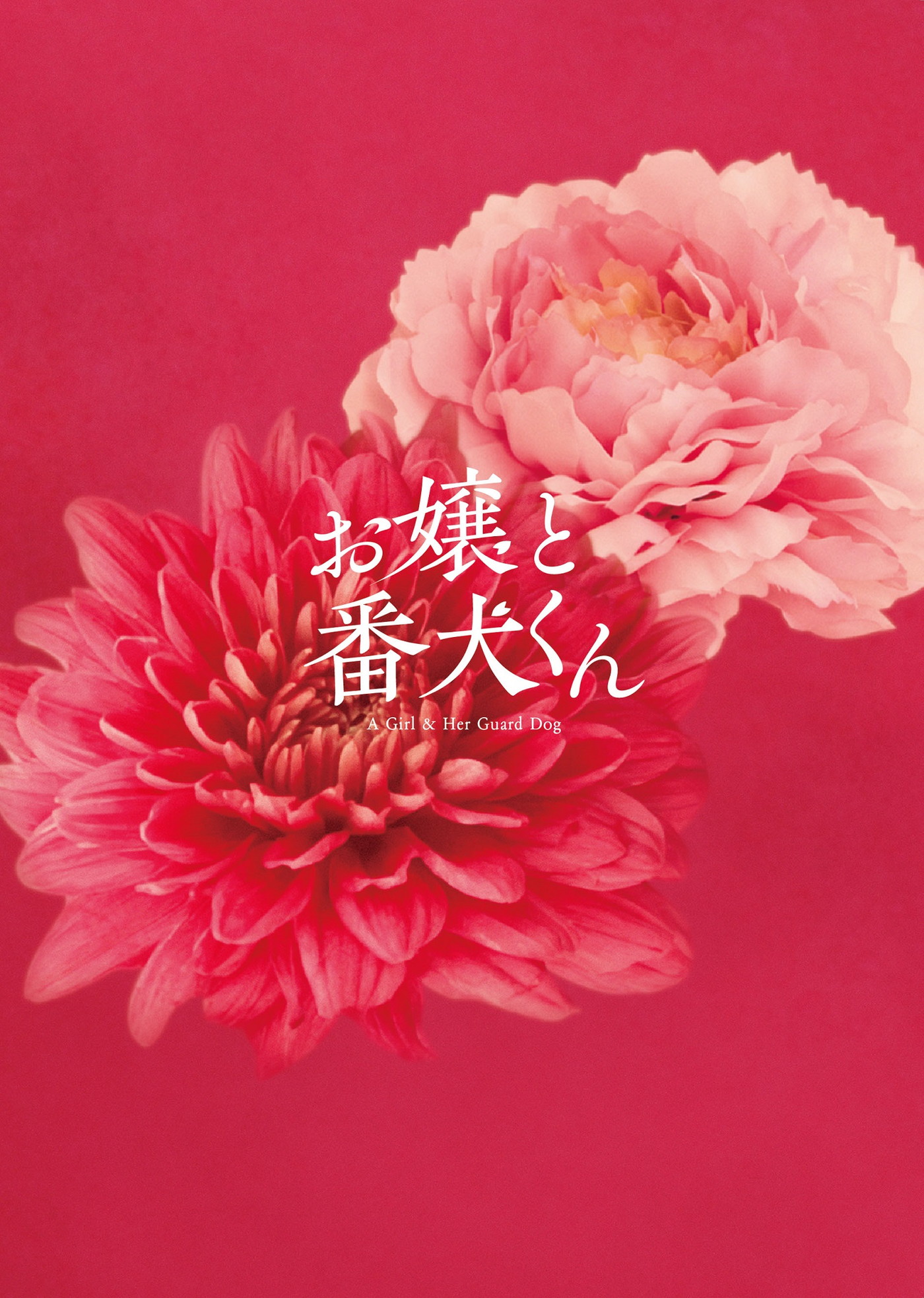 福本莉子＆ジェシー、真夏の撮影で頭に氷のうを乗せる！映画『お嬢と番犬くん』メイキング映像一部公開 - 画像一覧（2/3）