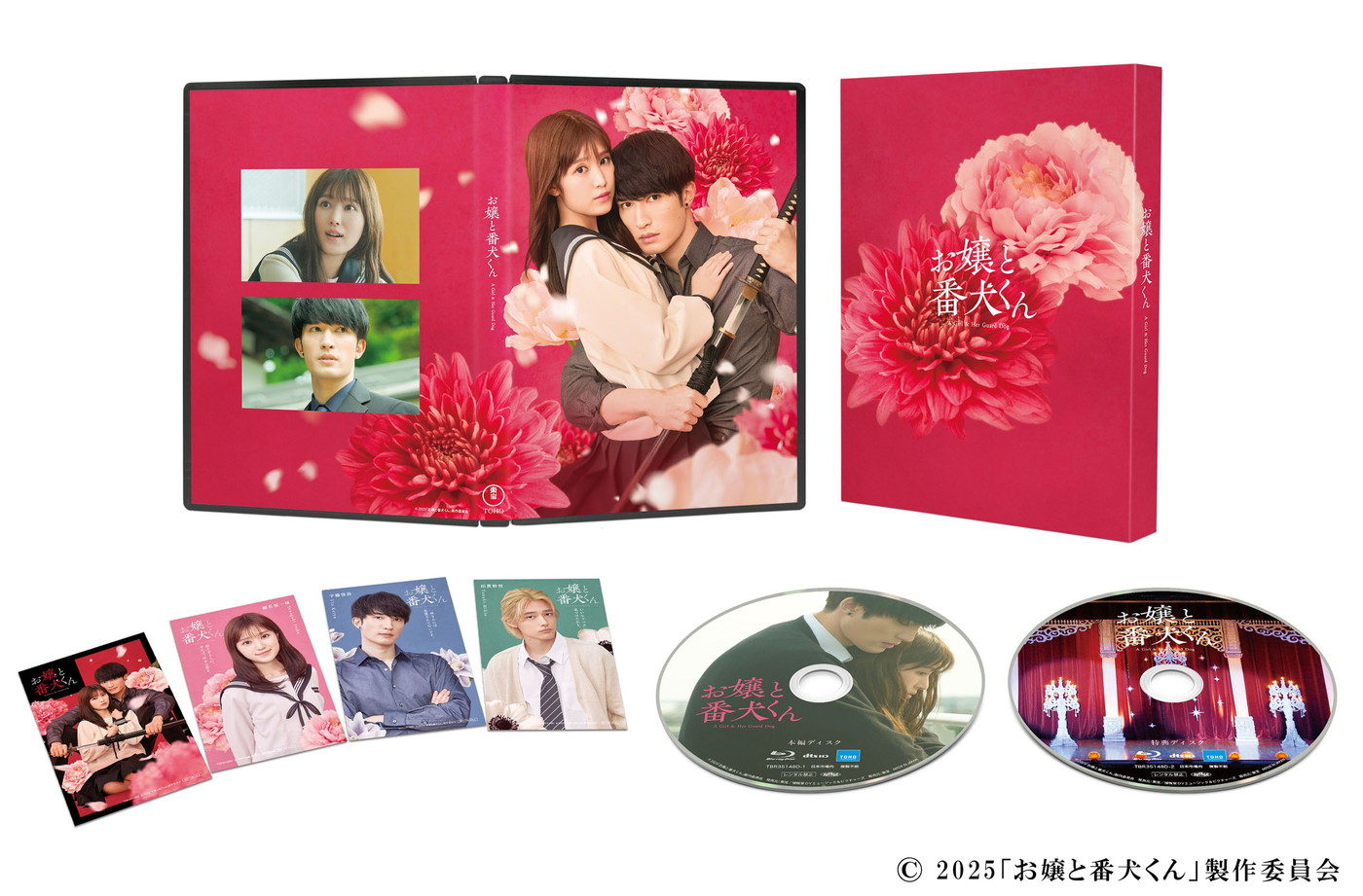 福本莉子＆ジェシー、真夏の撮影で頭に氷のうを乗せる！映画『お嬢と番犬くん』メイキング映像一部公開 - 画像一覧（3/3）