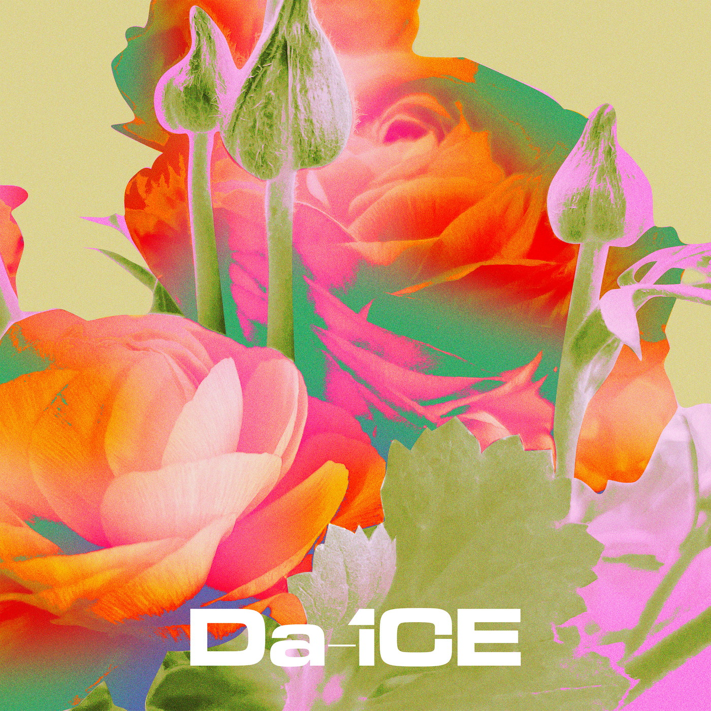Da-iCE「I wonder」が日本レコード協会（ストリーミング）ダブル・プラチナ認定獲得 - 画像一覧（2/2）