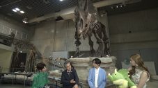 相葉雅紀、恐竜たちの物語を堪能！NHK『ウォーキング with ダイナソーズ』見どころを紹介 - 画像一覧（4/11）
