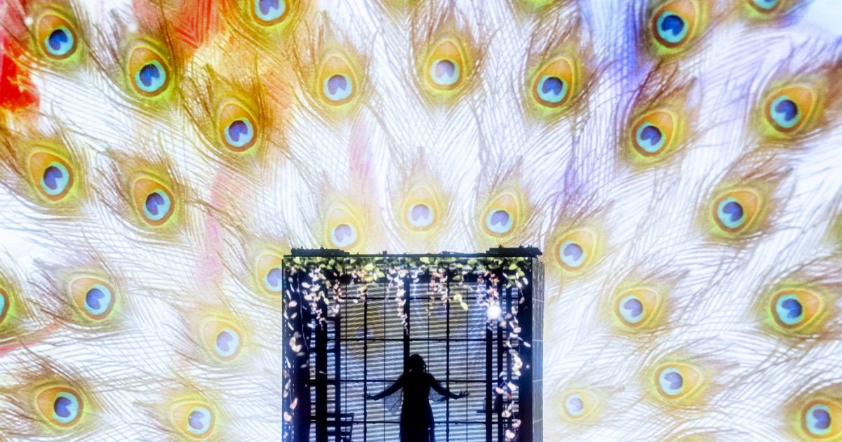 Ado Wish ワールドツアー Seoul ホログラムアートカード Ado Wish ワールドツアー Seoul ホログラムアートカード - メルカリ