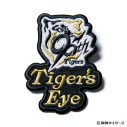 松本孝弘、阪神タイガース球団創設90周年記念公式テーマソング「Tiger’s Eye」CD発売決定 - 画像一覧（3/4）