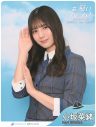 日向坂46が東京モノレール車両をジャック - 画像一覧（5/5）