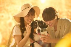 優我（大橋和也）と花（渋谷凪咲）の運命は!?ドラマ『リベンジ・スパイ』衝撃の最終回