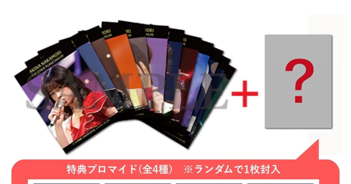 中森明菜　カードケース　ブロマイドケース　プロマイドケース 中森明菜 カードケース ブロマイドケース プロマイドケース