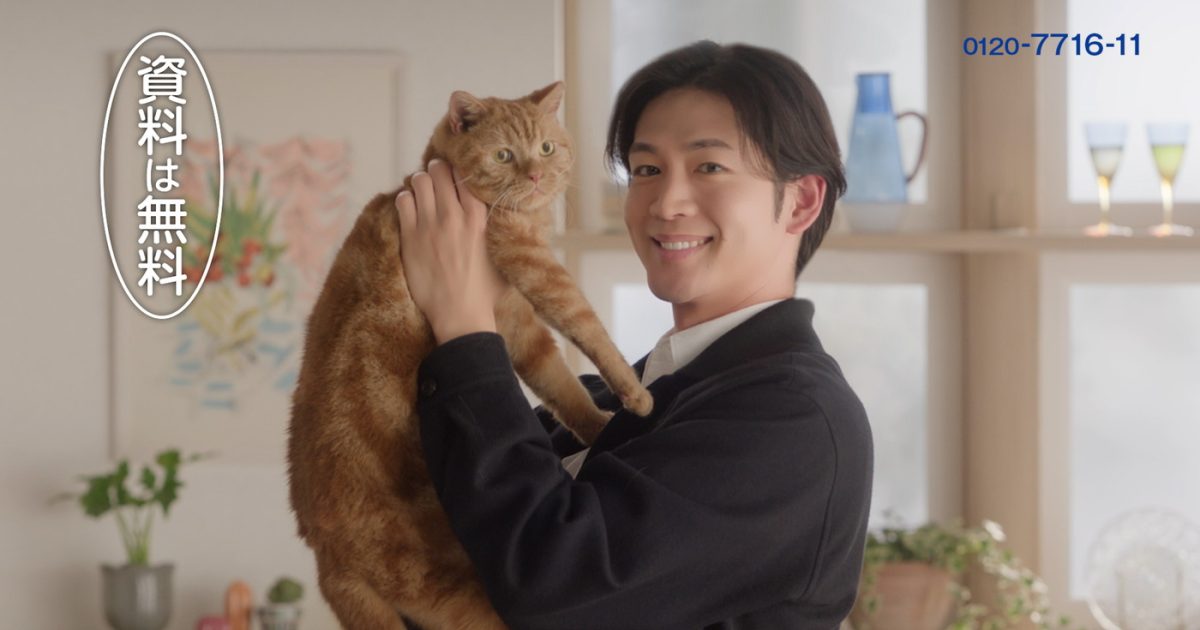 松下洸平がTVCMで猫と共演！「すごく貴重な時間を過ごさせていただき