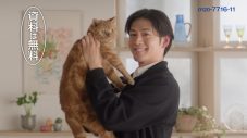 松下洸平がTVCMで猫と共演！「すごく貴重な時間を過ごさせていただきました」 - 画像一覧（2/9）
