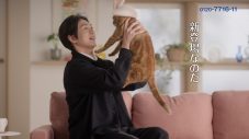 松下洸平がTVCMで猫と共演！「すごく貴重な時間を過ごさせていただきました」 - 画像一覧（6/9）
