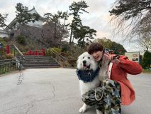 SixTONESジェシー『笑ってコラえて！』でネタ探し犬と小田原へ！名物グルメに「ニヤニヤが止まらないよ」