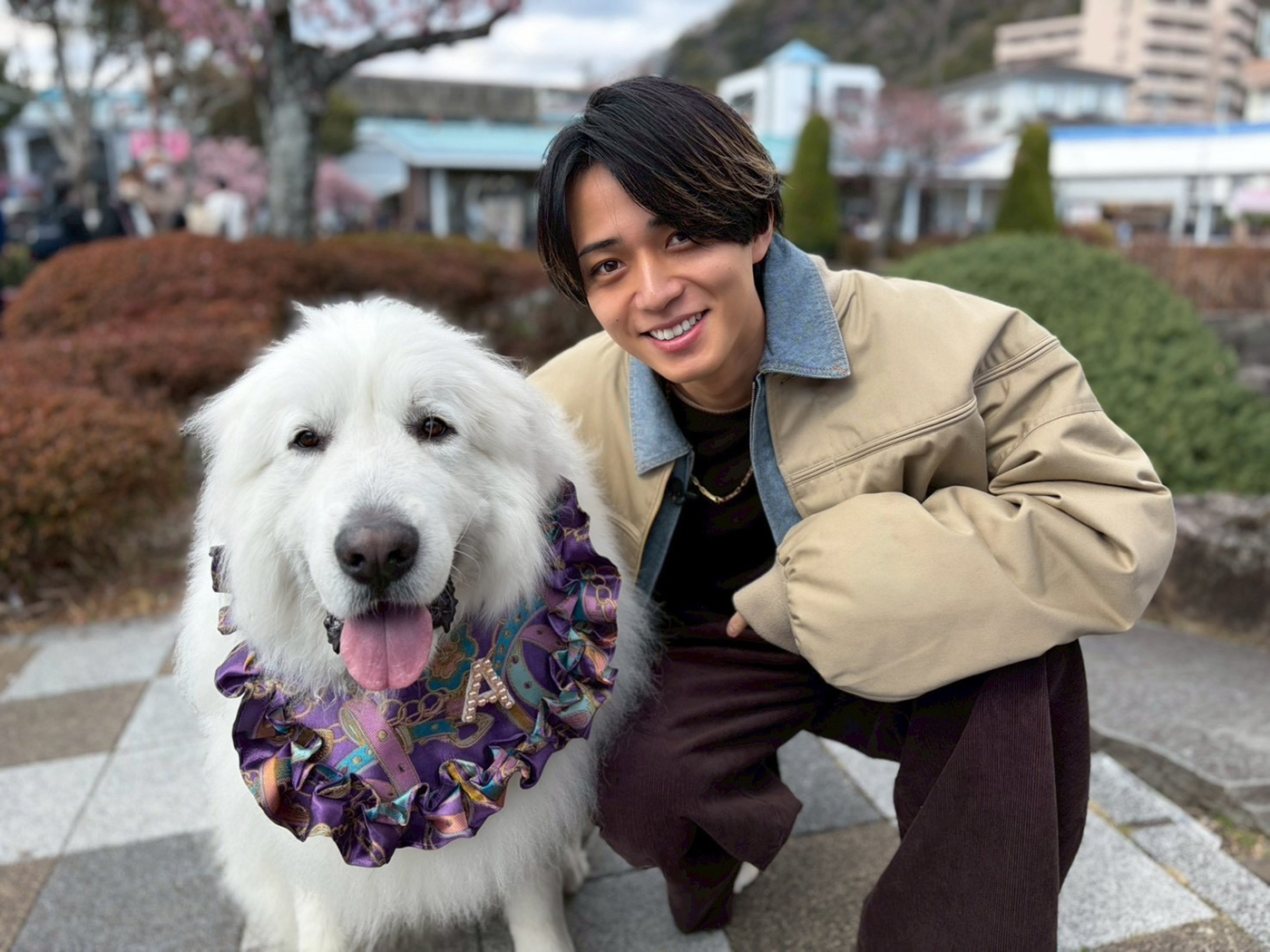 永瀬廉がネタ掘れワンワンの旅に2度目の挑戦！『笑ってコラえて！3時間スペシャル』今夜放送