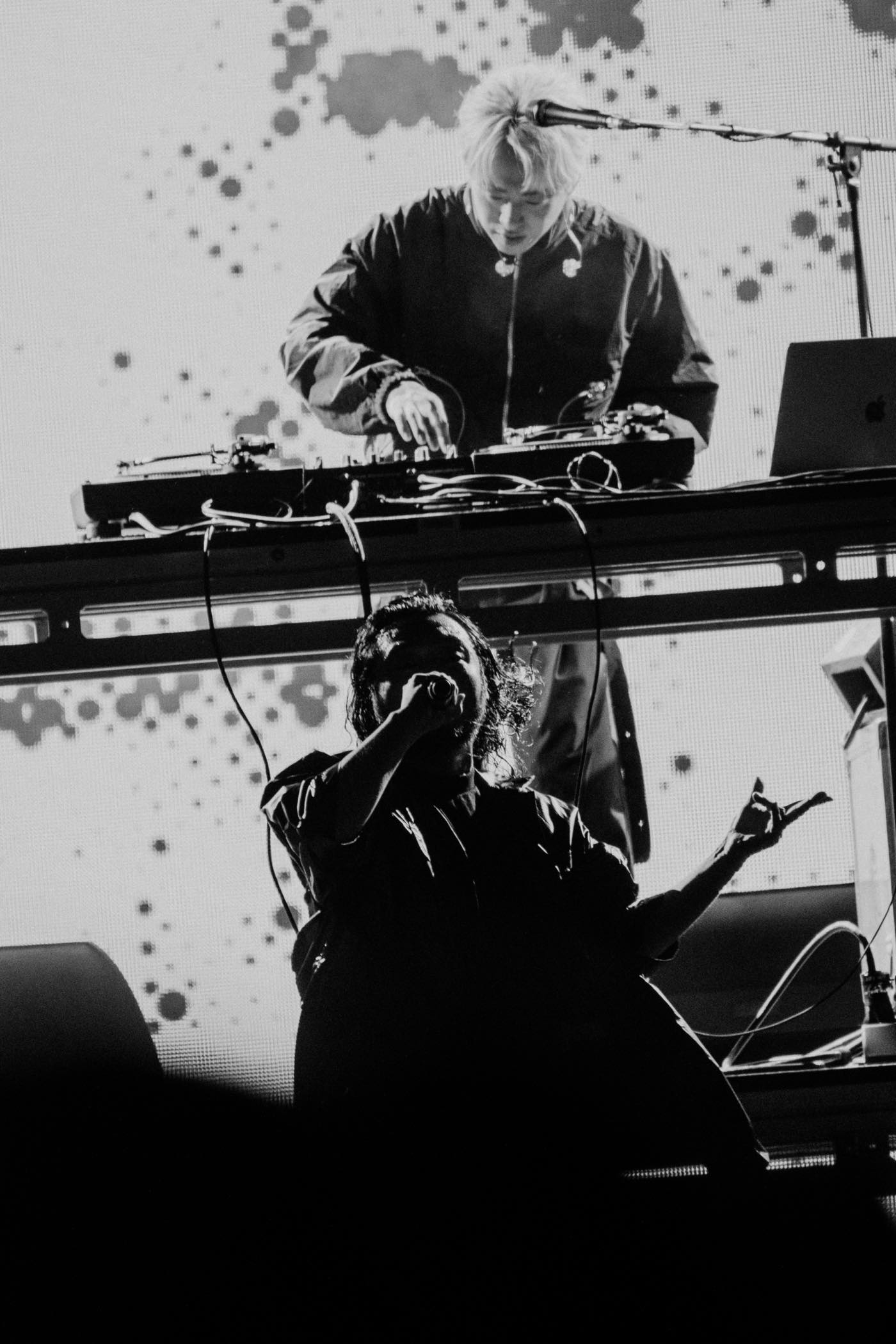 Creepy Nutsアメリカ最大級の音楽フェス『コーチェラ』に初出演！Gobiステージのトリを飾る