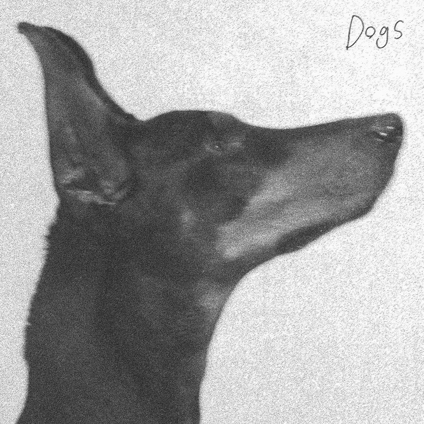 「Dogs」配信JK
