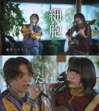 優里×シンガーソングライター・さとう。緊張感溢れるコラボ動画公開！コレサワの名曲「たばこ」のカバーも