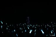 【レポート】GW開催！“ボカロ文化”を体感できる回遊型イベント『Project Circles -ミクたちとの共振-』スタート - 画像一覧（22/26）