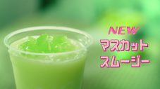 あの×齊藤なぎさがマクドナルド新CMで1年ぶりに共演！「久々に本物に会えて嬉しい（笑）」（齊藤） - 画像一覧（26/37）