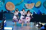 【ライブレポート】乃木坂46、満員の東京ドームで14回目の誕生日をお祝い！菅原咲月の次期キャプテン就任も発表 - 画像一覧（15/25）