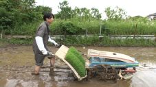 相葉雅紀が古民家で夢の拠点作りを目指す「マナブのおうち」第3弾が今夜オンエア！相葉が田植え機で米作りに大奮闘 - 画像一覧（2/4）