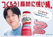 二宮和也と“腸さん”の不思議な掛け合いに注目！恵ヨーグルト新TVCM＆インタビュー公開 - 画像一覧（1/4）