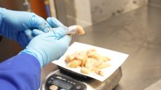 相葉雅紀、アイスランド・カラフトシシャモ生産の裏側に驚愕！「新事実を知り、“カラフトシシャモ熱”が高まった」 - 画像一覧（8/11）