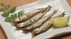 相葉雅紀、アイスランド・カラフトシシャモ生産の裏側に驚愕！「新事実を知り、“カラフトシシャモ熱”が高まった」 - 画像一覧（11/11）