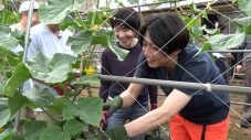 相葉雅紀『相葉マナブ』で料理家・栗原はるみと夏野菜を堪能！「甘い！」「味が濃い」「歯ごたえが最高にいい」「ピリ辛で最高」 - 画像一覧（2/3）