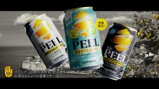 大泉洋、斎藤工、池松壮亮が真夏の暑さをクールに楽しむ！「THE PEEL」新TVCM公開 - 画像一覧（12/13）