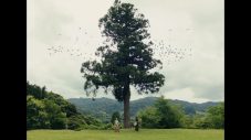 リーガルリリー、新曲「コニファー」MV公開！世界を理解しようとしたふたりが巨大な針葉樹と接続 - 画像一覧（1/2）