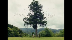 リーガルリリー、新曲「コニファー」MV公開！世界を理解しようとしたふたりが巨大な針葉樹と接続