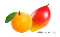 TOMORROW X TOGETHERと「サントリー天然水 きりっと果実」スペシャルキャンペーン！日本オリジナル最新曲初公開の新WebCMも公開 - 画像一覧（13/21）