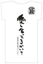 忌野清志郎ドキュメンタリー映画『愛し合ってるかい？　忌野清志郎が教えてくれた』本予告映像解禁 - 画像一覧（11/19）