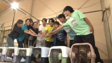 相葉雅紀の「保護犬トリミング」にサッカー日本代表・森保一監督が初参戦！『24時間テレビ49』内でオンエア - 画像一覧（1/4）