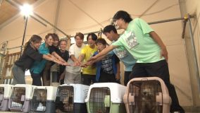 相葉雅紀の「保護犬トリミング」にサッカー日本代表・森保一監督が初参戦！『24時間テレビ49』内でオンエア