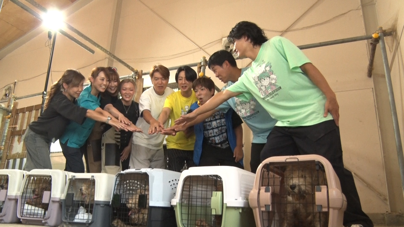 相葉雅紀の「保護犬トリミング」にサッカー日本代表・森保一監督が初参戦！『24時間テレビ49』内でオンエア