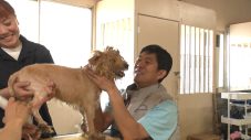 相葉雅紀の「保護犬トリミング」にサッカー日本代表・森保一監督が初参戦！『24時間テレビ49』内でオンエア - 画像一覧（3/4）