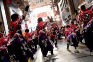 【レポート】THE ALFEE監修「THE ALFEEよさこい組 美麗乱舞祭」が高知よさこい祭りで熱狂の乱舞 - 画像一覧（7/10）